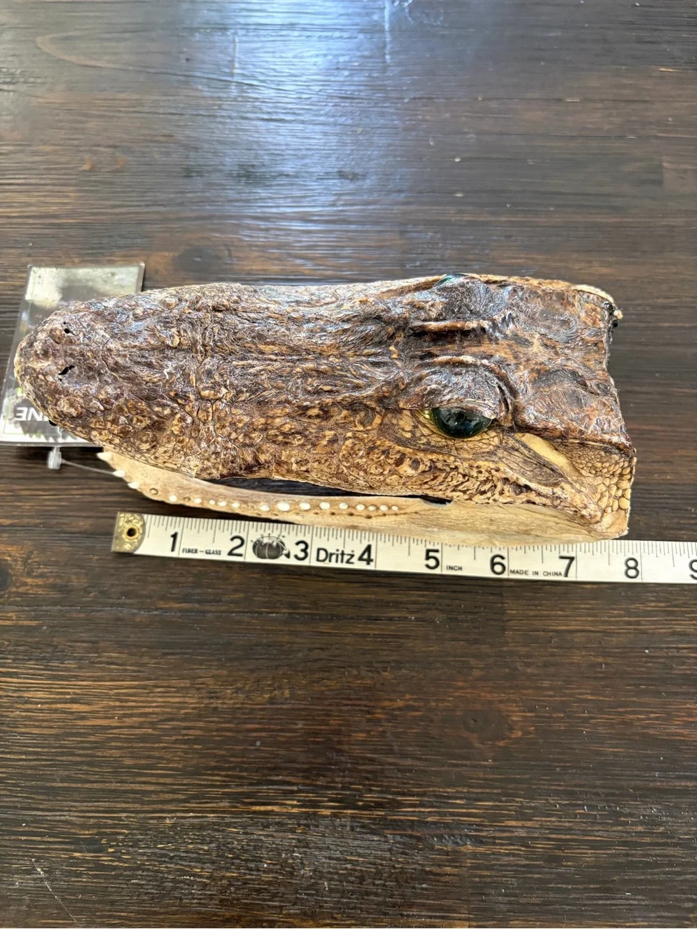 Genuine Alligator Skull Terrarium Accent - Brown with Green Eye
